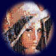 Mosaic Picture of Lena produced by Computer Vision Lab