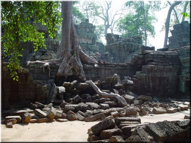01 A surprising scene of ruins caused by crawling tree root.jpg