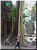 08 A 'coffin tree'.jpg