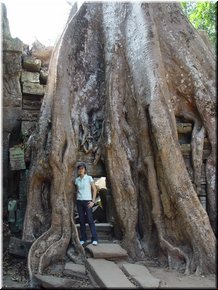 04 How long did it take for the tree to grow so big.jpg