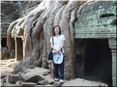 07 The trees were left untouched when the ruins were recovered.jpg