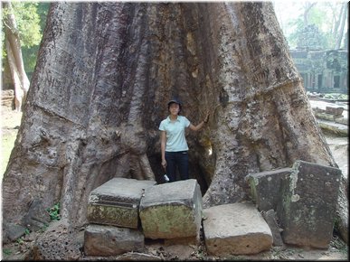 08 A big tree root hole.jpg