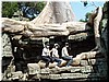 02 Riding a snake-like tree root.jpg