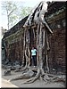 05 Centuries long!.jpg