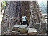 08 A big tree root hole.jpg
