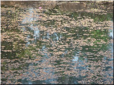 04 Texture in water.jpg