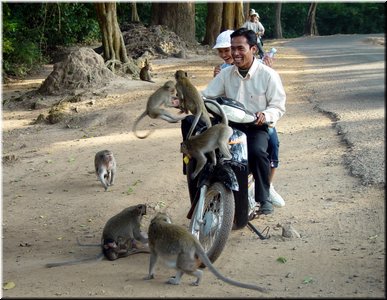 03-10-03 Angkor Area --- Monkeys asking food from passengers.jpg
