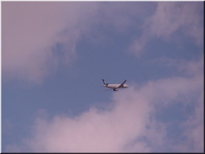 11 A plane in the air.jpg