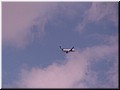 11 A plane in the air.jpg