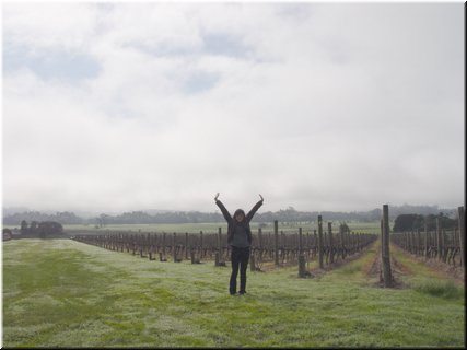 Day 5 - 05 The gape vine canopy is harmonic geometrically.jpg