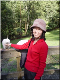 Day 5 - 11 Feeding cockatoos.jpg