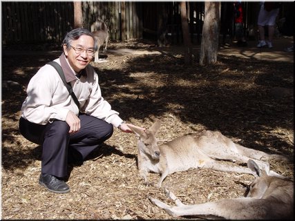 Day 7 - 05 Caressing a kangaroo.jpg