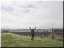 Day 5 - 05 The gape vine canopy is harmonic geometrically.jpg