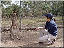 Day 6 - 03 Do you know what the kangaroo mean by standing up.jpg