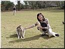 Day 6 - 04 The kangaroo said 'stupid, I am too full. Don't feed me anymore'.jpg