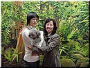 Day 7 - 01 Unforgettable moment with a live koala.jpg