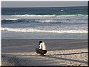 Day 7 - 13 At a beach of Gold Coast.jpg