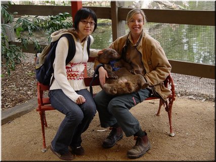 07-02-03 And more - caressing a wombat and taking another picture.jpg