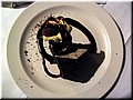 03-06 The dessert we had during ship cruise in Sydney B (taken by Meimei).jpg