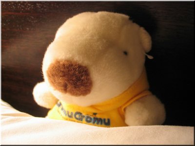 10 Another toy of Meimei (taken by Meimei).jpg
