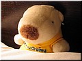 10 Another toy of Meimei (taken by Meimei).jpg