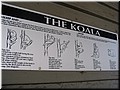 13 Illustration of sleeping postures of koalas - part I (taken by Meimei).jpg