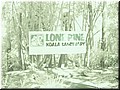 15 Lone Pine Koala Sanctuary where we saw koalas in Australia for the first time.jpg