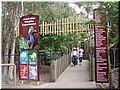 16 Animal garden in Dreamworld Theme Park where we saw more koalas.jpg