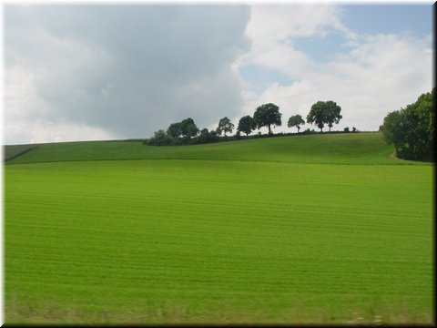 Day 07.03 (Holland)-A typical countryside scene in Holland and Belgium.jpg