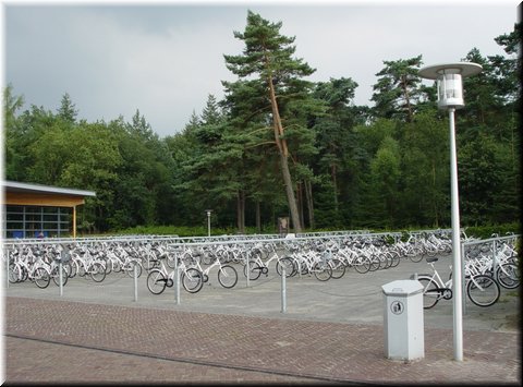 Day 08.18 (Holland)-Lots of bicycles parked in the park.jpg