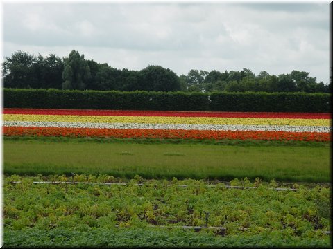 Day 09.04 (Holland)-Another scene seen on the train.jpg