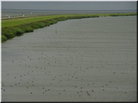 Day 09.08 (Holland)-The dike separates North Sea from an enclosed big lake.jpg