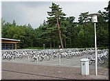 Day 08.18 (Holland)-Lots of bicycles parked in the park.jpg