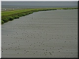 Day 09.08 (Holland)-The dike separates North Sea from an enclosed big lake.jpg