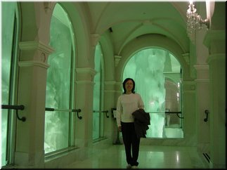 14 At an ice hall.jpg