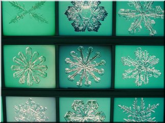 23 A picture of many snow crystals.jpg
