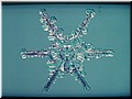 24 A close look at a crystal.jpg