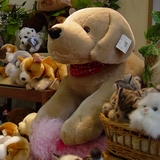 Doggy seen in an Otaru store