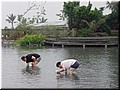 04 Many people are fishing.jpg