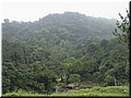 16 Good mountain view nearby.jpg