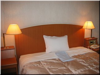 13 The room of the hotel we stayed.jpg