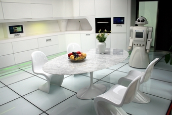I-3-02-02-Use of home robot