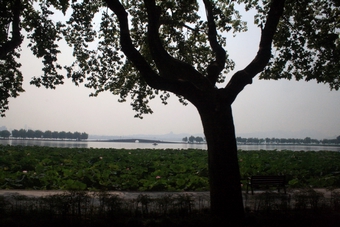 I-8-01-01-West Lake seen from the bus
