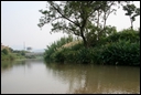 I-7-07-01-Xixi Wetland Park - a new wetland park.jpg