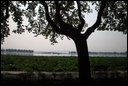 I-8-01-01-West Lake seen from the bus.jpg