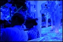 14-Like the 'Small world journey' in Disneyland.jpg