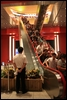 23-The longest escalator I have ever seen.jpg