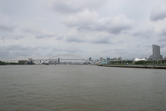 21-Nanpu Bridge in the distance
