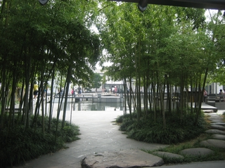 07-A bamboo garden