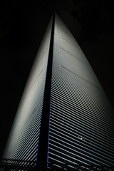 18-Beautiful texture seen on the surface of SWFC